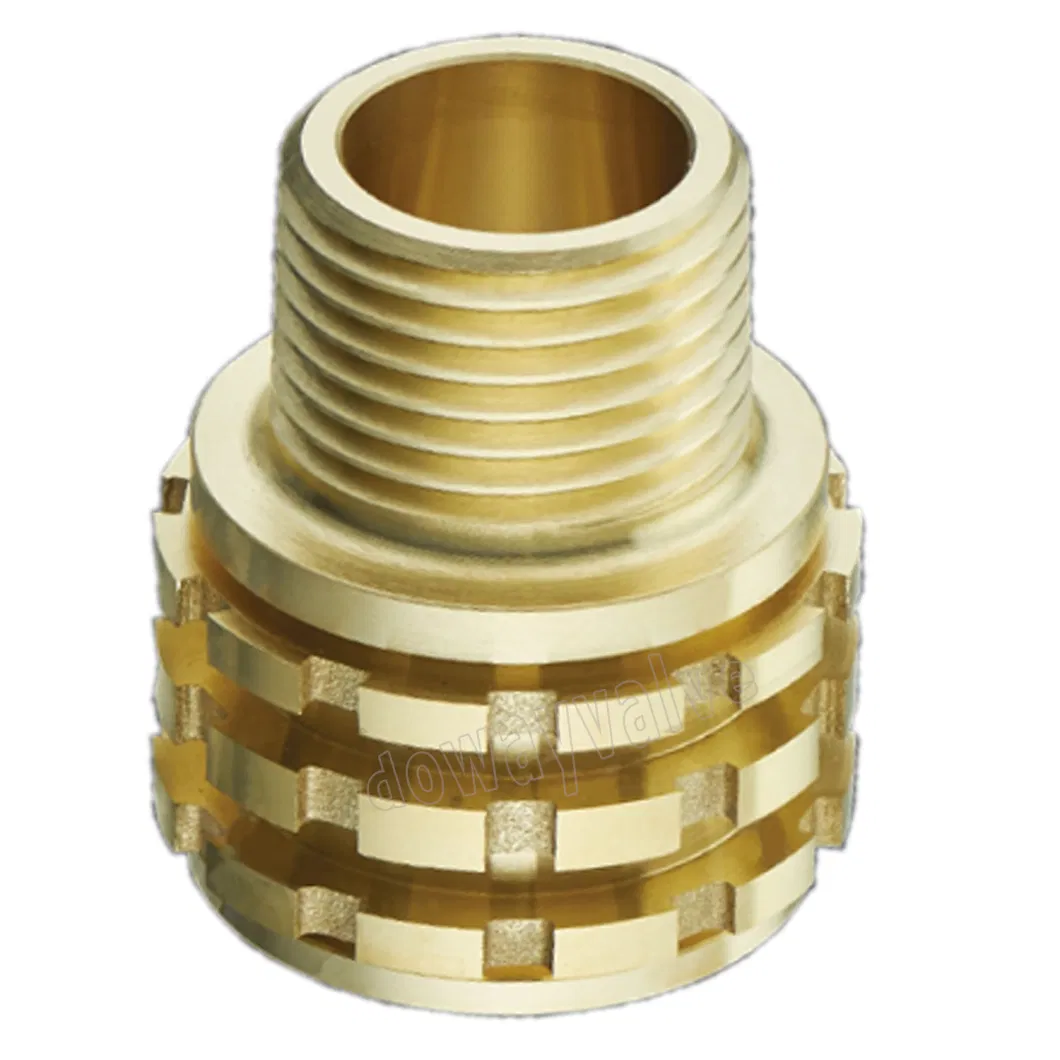 Brass DIN2999 Nickel Plated PPR Insert